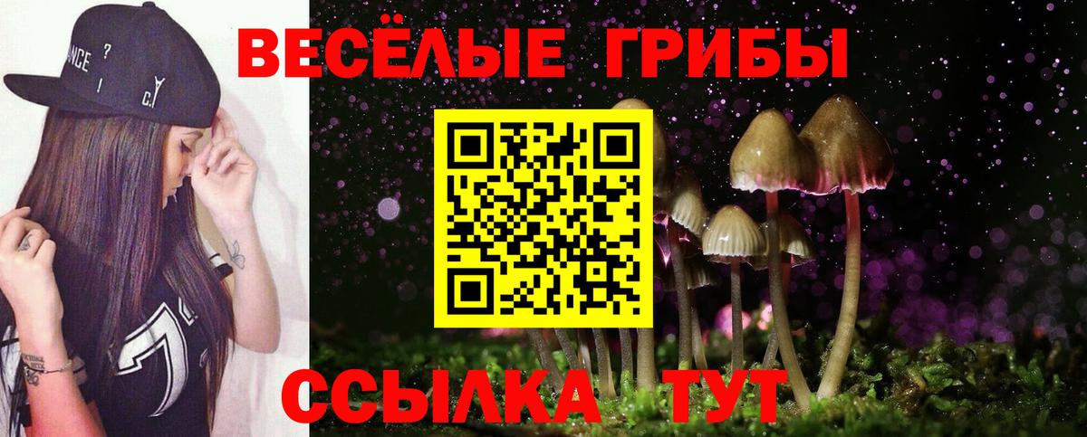Карасук  Галлюциногенные грибы Cubensis  где купить наркотик  Вход с VPN 