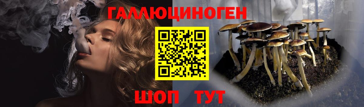Псилоцибиновые грибы ЛСД Карасук